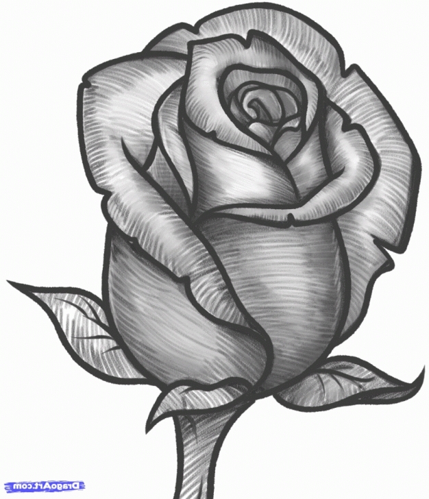 Amazing Beautiful Pencil Sketches Of Roses Techniques Rose Drawing Beautiful Pencil Drawings Of Roses Pictures Sketch A Pics