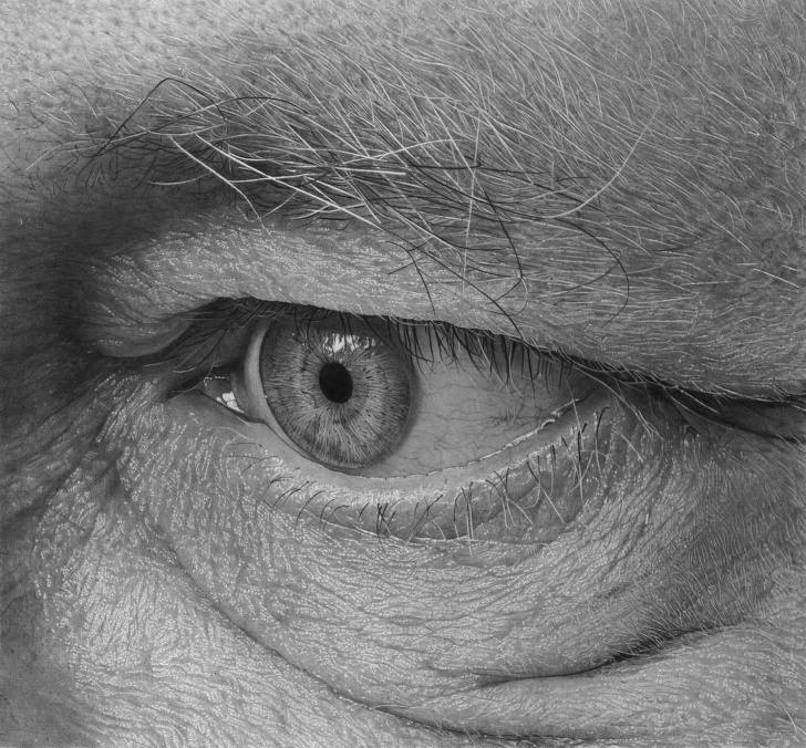 Amazing Detailed Pencil Drawings Techniques for Beginners Eyes Wide Open: The Detailed Pencil Drawings Of Flavio Apel | Scene360 Pictures
