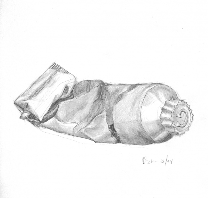 Awesome A Pencil Sketch Courses I Used To Paint Too - This Is A Pencil Sketch Of One Of My Used Photos