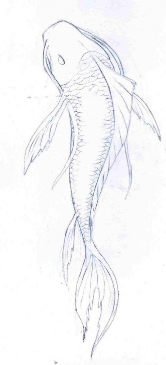 Fish Pencil Sketch