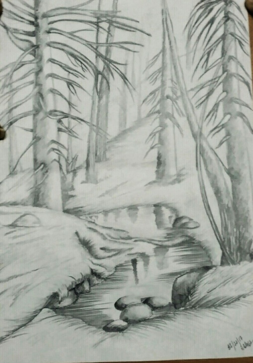 Awesome Forest Pencil Sketch Tutorial Autum Forest Pencil Sketch | Sketches In 2019 | Forest Sketch Pics