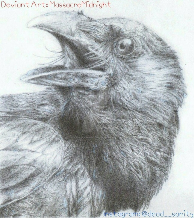 Best Crow Pencil Sketch Techniques Crow Pencil Drawing By Massacremidnight On Deviantart Pics