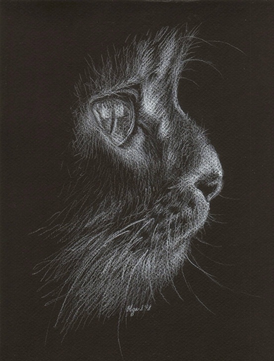 Drawing On Black Paper With White Pencil