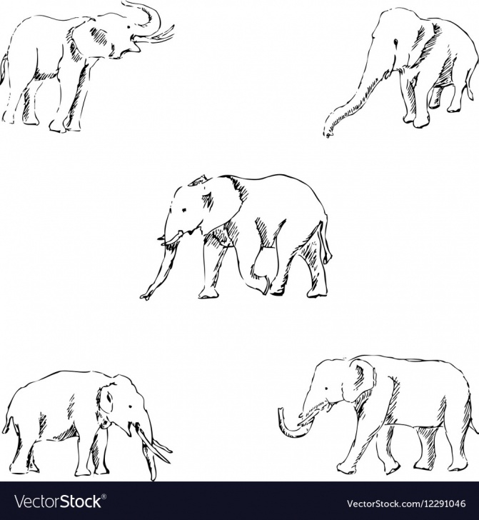 Best Elephant Pencil Art Tutorials Elephants A Sketch By Hand Pencil Drawing Image