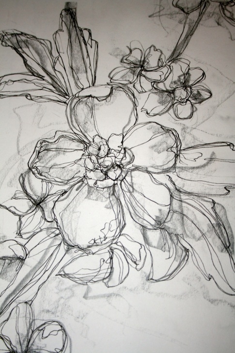 Floral Pencil Drawings
