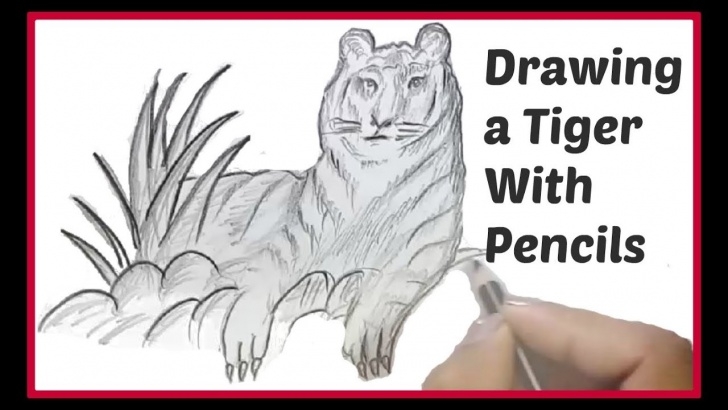 Best Tiger Pencil Sketch Lessons Simple Pencil Drawing For Kids: Drawing A Tiger Easy ( &amp; Fast ) Pic