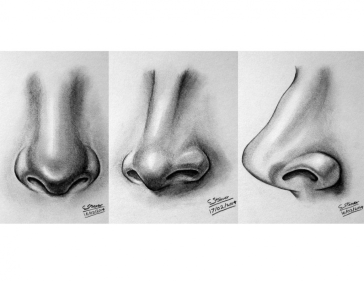 Excellent Nose Pencil Drawing Simple Pencil Drawings Of Noses Nosedrawing Deviantart | Drawing In 2019 Pictures