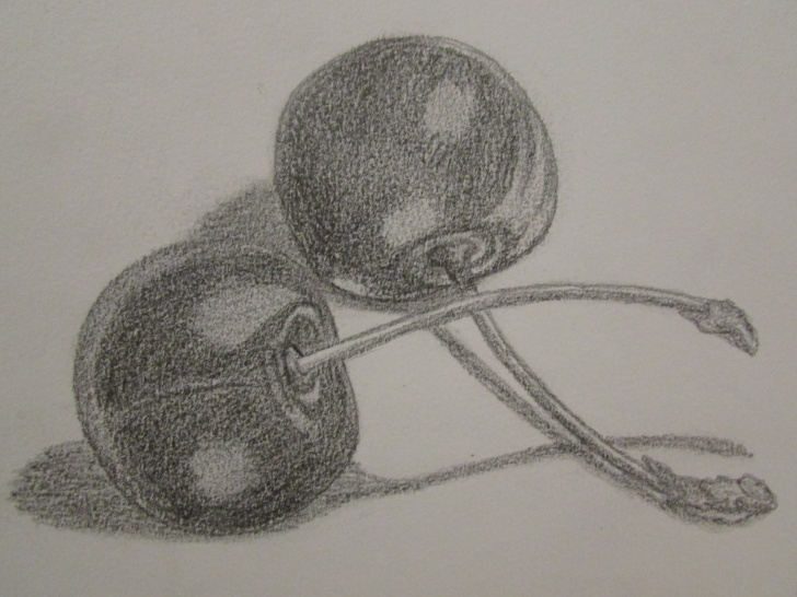 Pencil Sketches Of Fruits And Vegetables