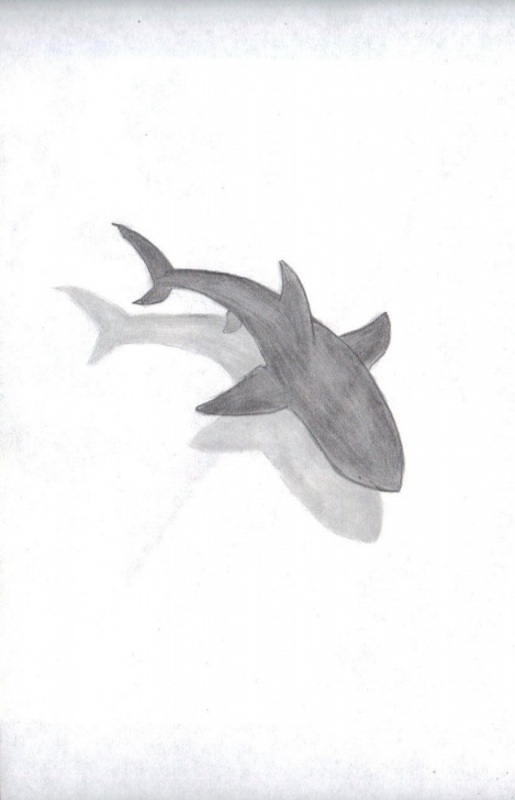 Fantastic Shark Pencil Drawing Lessons Shark By &quot;kyah Leanne&quot; | Drawings In 2019 | Drawings, Pencil Pics