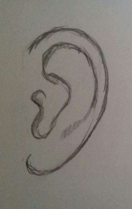Ear Pencil Drawing
