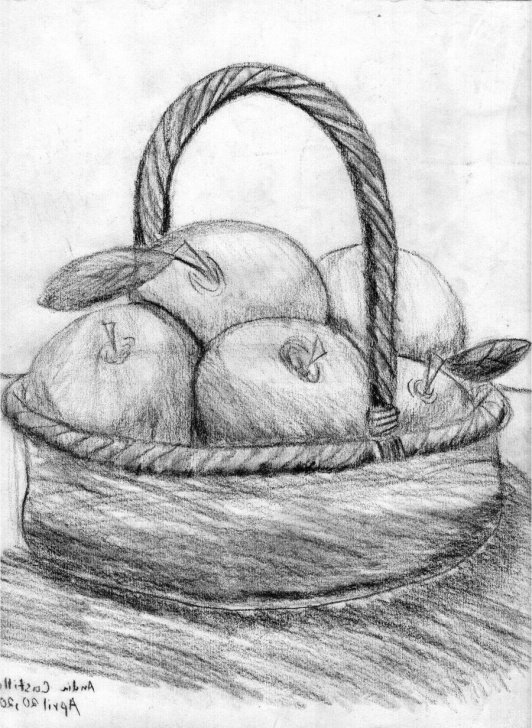 Fascinating Pencil Shading Fruit Basket Techniques Pencil Sketch Of Fruits At Paintingvalley | Explore Collection Pic