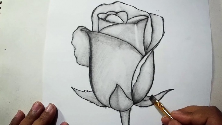 Fine Rose Pencil Shading Courses How To Draw A Rose || Pencil Drawing, Shading For Beginners Photos