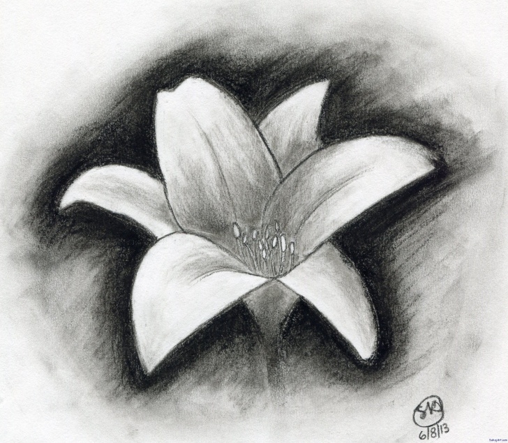 Good Easy Charcoal Drawings For Beginners Free Easy Charcoal Drawings Flowers | Shading In 2019 | Easy Charcoal Picture