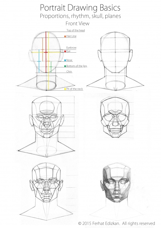 Good Human Portrait Drawing Tutorials Portrait Drawing Basics | Drawing Tips In 2019 | 3D Drawing Photo