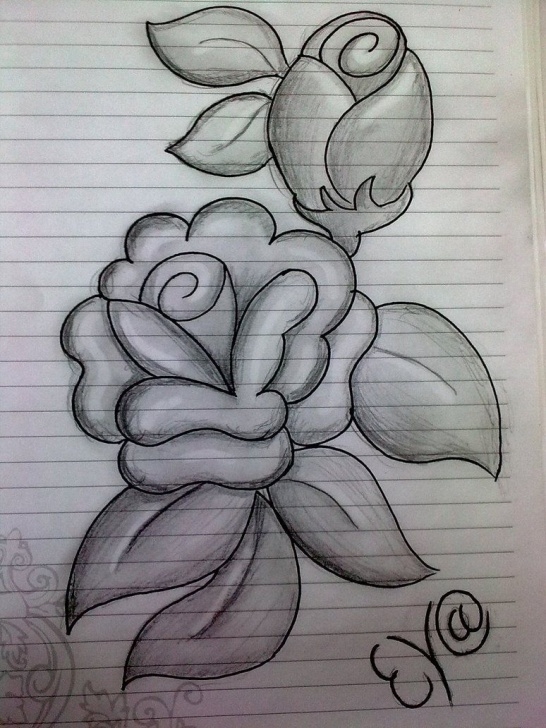 Pencil Drawings Flowers Art