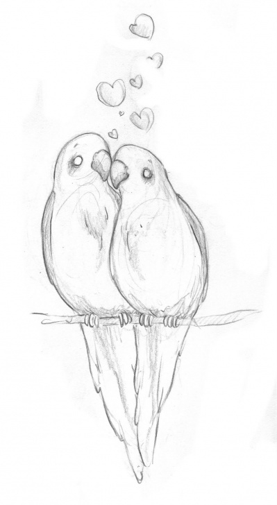 Pencil Sketches Of Birds