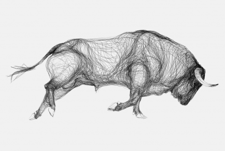 Bull Pencil Drawing