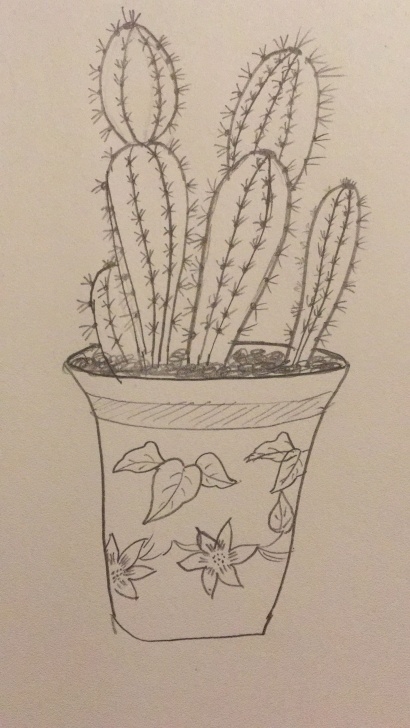 Cactus Pencil Drawing