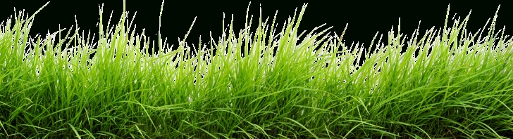 Incredible Drawing Grass With Colored Pencil for Beginners Collection Of Free Grass Drawing Colored Pencil. Download On Ui Ex Images