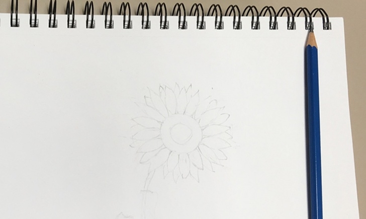 Incredible Drawings Of Pencils Free Learn To Draw A Sunflower With Colored Pencils Pictures