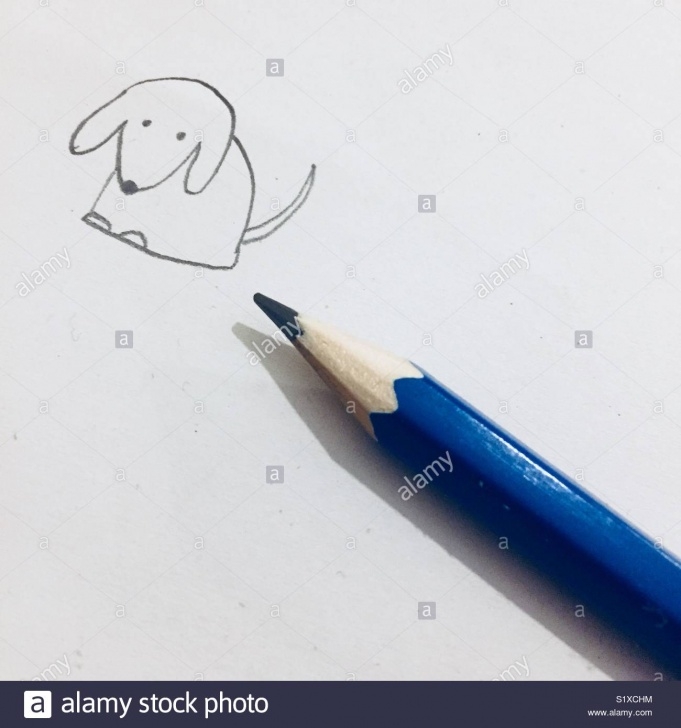 Incredible Pencil Drawing Of Pencil Easy Pencil Drawing Of A Little Dog Stock Photo: 310981936 - Alamy Photo