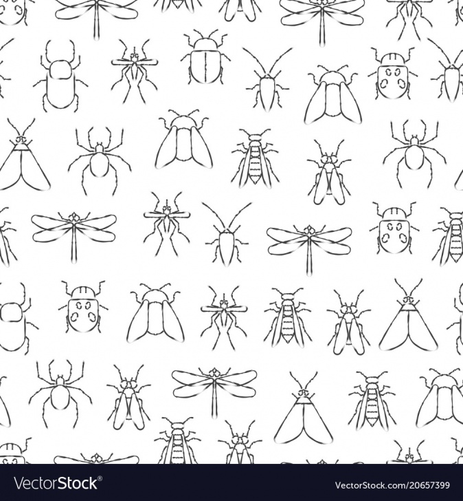 Inspiration Drawing Insects Pencil Techniques for Beginners Pencil Drawing Insects Seamless Pattern Wild Picture