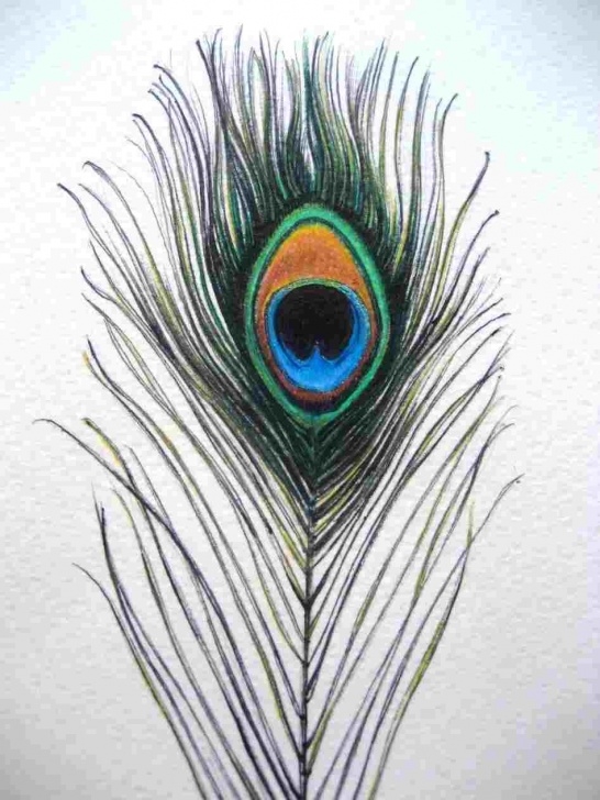 Inspiration Peacock Pencil Shading Tutorial Pencil Drawing Pictures Of Peacock Picture