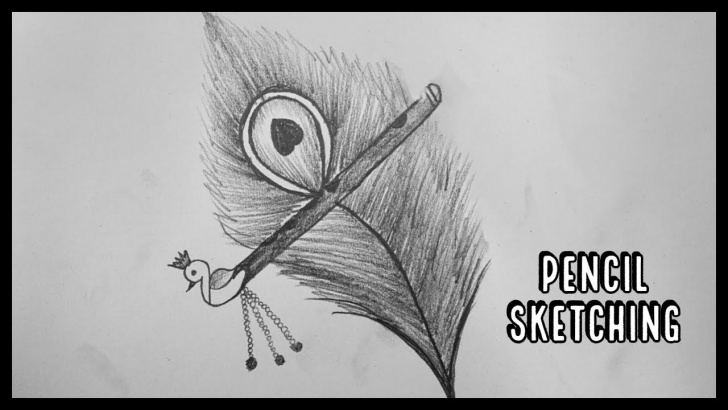 Inspiring Peacock Feather Pencil Drawing Courses How To Draw A Peacock Feather || Peacock Feather Drawing || Krishna  Janmashtami Drawing Pictures