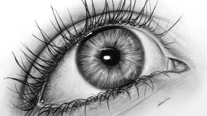 Interesting Realistic Graphite Drawings Courses How To Draw A Realistic Eye With Graphite, Drawing Tutorial | Leontine Van  Vliet Photo