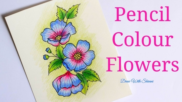 Learn Colour Pencil Shading Free Easy Flowers Using Pencil Colors/ Colored Pencil Shading Flowers Photos