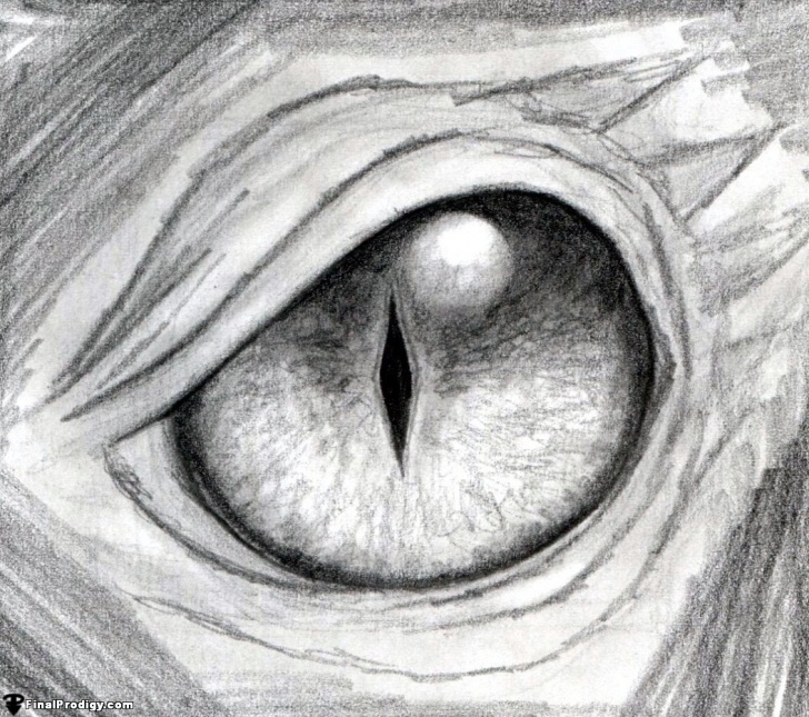 Learn Dragon Eye Pencil Drawing Lessons How To Draw A Dragon Eye - Finalprodigy Image