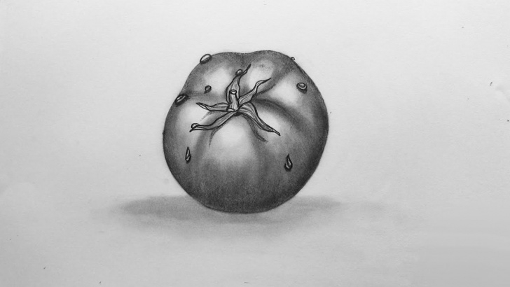 Learn Tomato Pencil Drawing Simple How To Sketch Tomato Pic