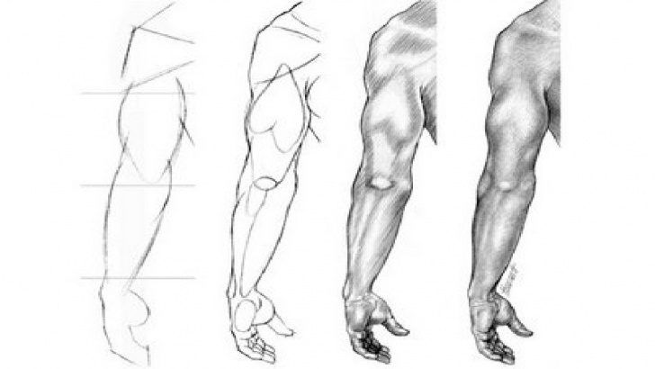 Marvelous Human Body Parts Pencil Drawing Free Figure Drawing Lessons 7/8 - Drawing And Shading - Shading Techniques With  Pencil Image