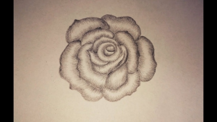 Marvelous Rose Pencil Shading Simple Pencil Shading For Beginners | How To Draw A Rose | Shading Flower | How To  Shade A Rose (Pencils) Image