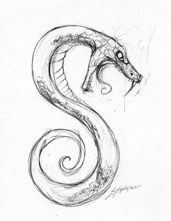 Marvelous Snake Pencil Sketch Step by Step Snake Sketch … | References In 2019… Pics