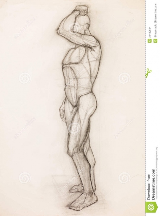 Most Inspiring Human Body Pencil Sketch Ideas Human Body Anatomy Study Stock Illustration. Illustration Of Anatomy Photos