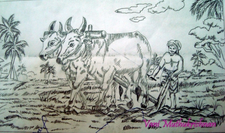 Outstanding Farmer Pencil Drawing Techniques for Beginners A Busy Farmer | Mypencilwork Photo