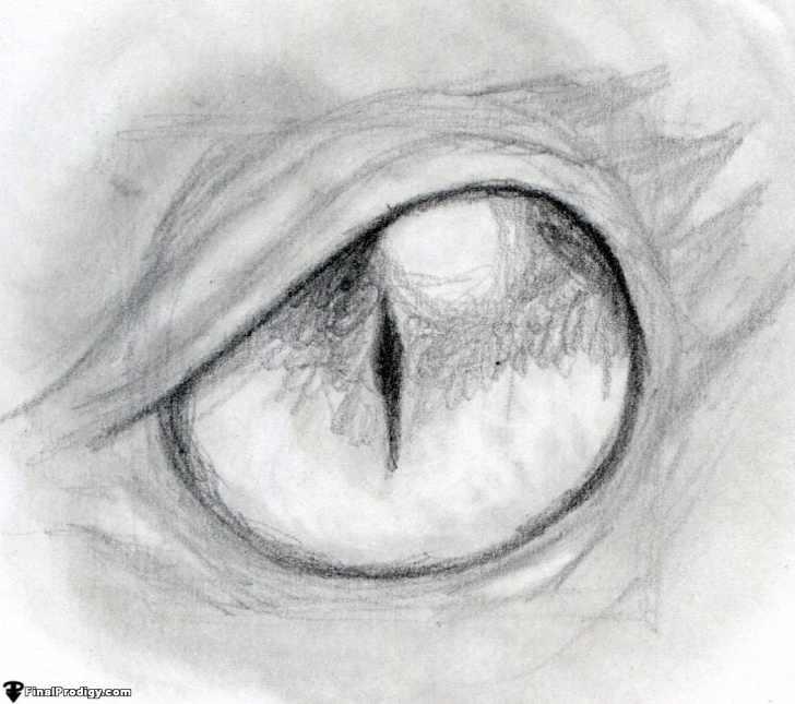 Popular Dragon Eye Pencil Drawing Tutorials How To Draw A Dragon Eye - Finalprodigy Photo