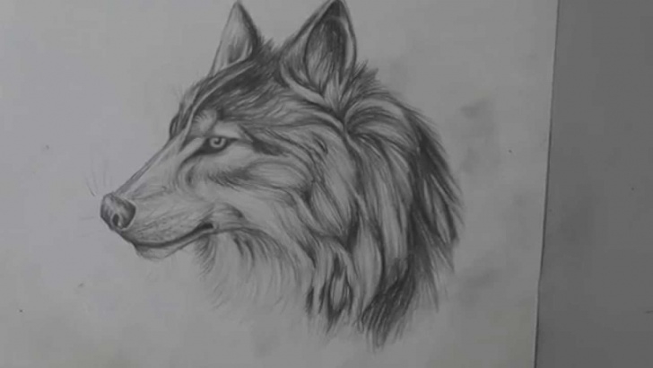 Popular Pencil Drawing Of Tutorial Pencil Drawing Of A Wolf - Long Version Pics