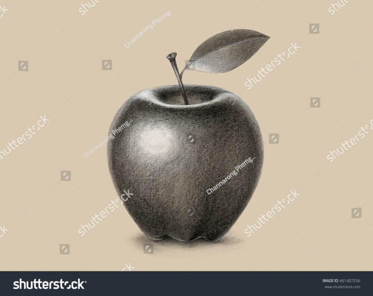 Remarkable Apple Pencil Sketch Step by Step Apple Pencil Schech Pencil Sketch Image
