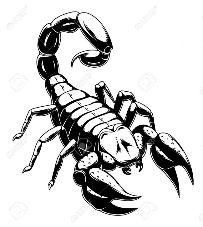 Remarkable Scorpion Pencil Drawing for Beginners Scorpion Pencil Drawing | Free Download Best Scorpion Pencil Drawing Pics