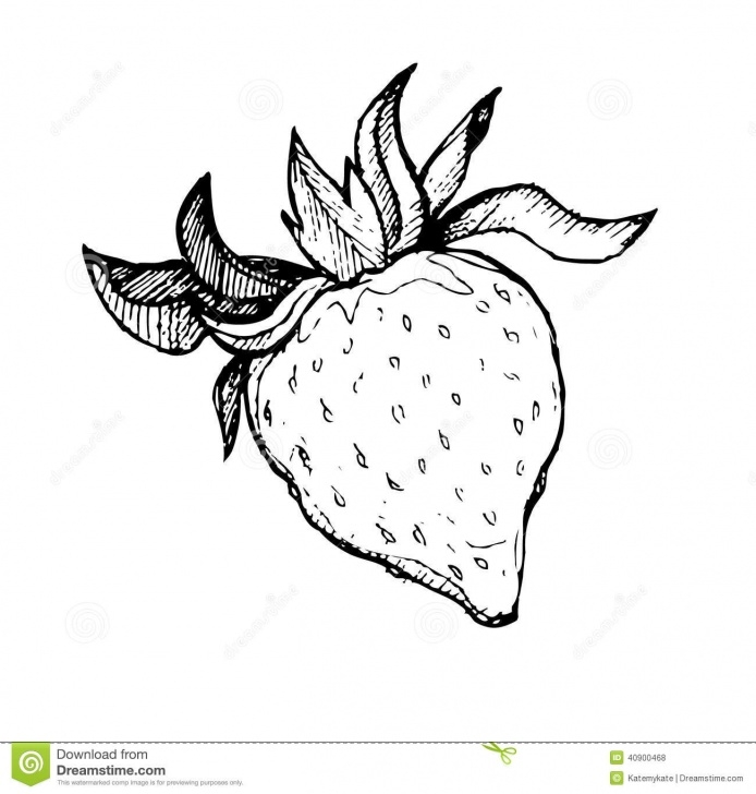 Remarkable Strawberry Pencil Drawing Techniques for Beginners 9+ Exceptional Strawberry Sketch Drawing Photos - Sketch - Sketch Arts Picture