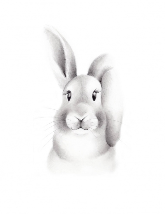 Stunning Bunny Pencil Drawing Lessons Bunny Nursery Art, Pencil Drawing, Baby Animal Face, Woodland Print, Rabbit  Drawing, Bunny Sketch Portrait, Gender Neutral Baby, Forest Art Picture