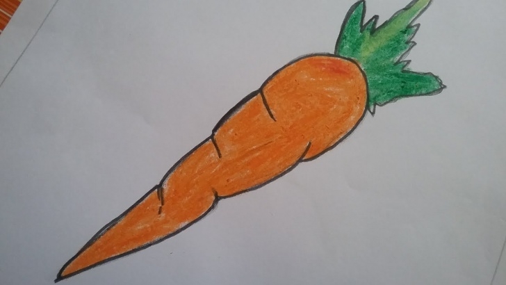 Stunning Carrot Pencil Drawing Easy How To Draw A Carrot L Carrot Easy Drawing For Kids L Vegetable Drawing,  Easy Drawing For Kids Pic