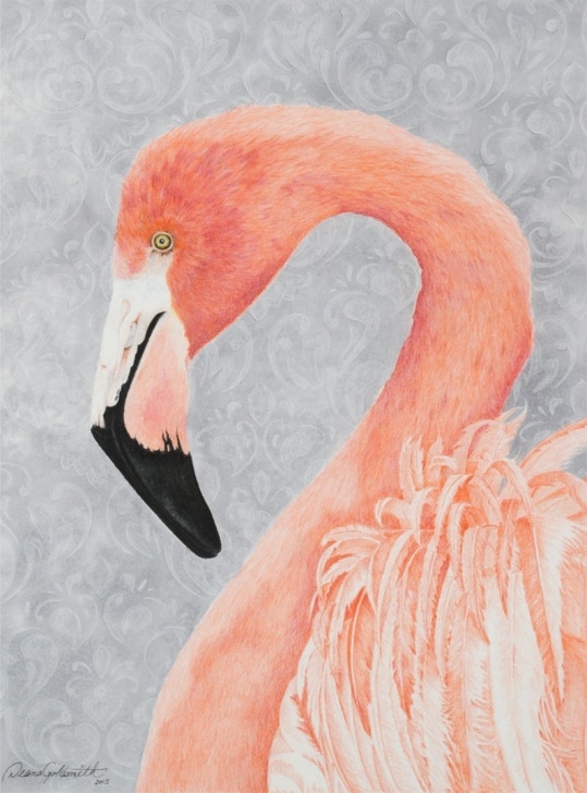 Stunning Flamingo Pencil Drawing Tutorials Flamingo/fine Art Limited Edition Print/colored Pencil Drawing/signed  Print/wall Decor/bird Illustrations/wall Art/animal Prints/nature/bird Photo