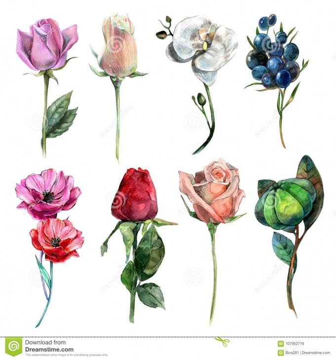 Stunning Watercolor Pencil Flowers Techniques for Beginners Drawing Of Flowers By Watercolor And Pencils Stock Illustration Pictures
