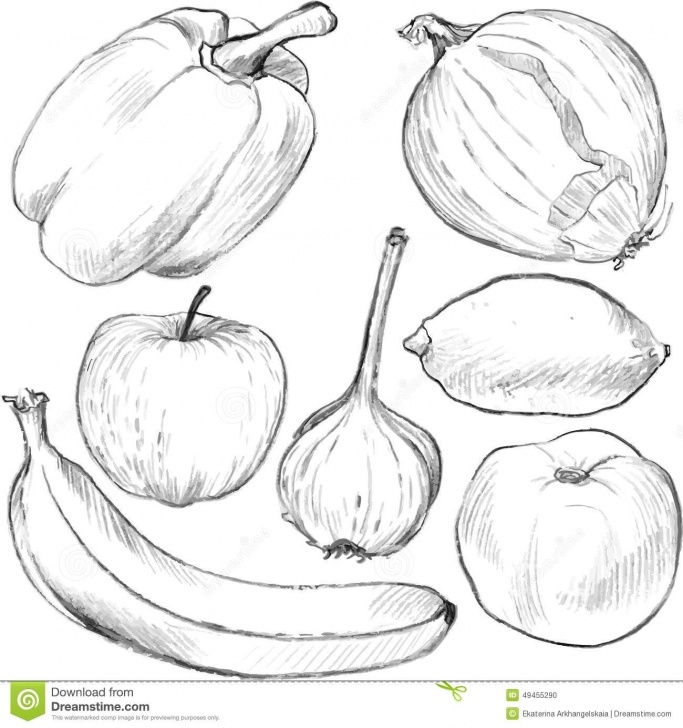 The Best Vegetables Pencil Drawing Free Set Of Drawing Vegetables And Fruits Stock Vector - Illustration Of Images