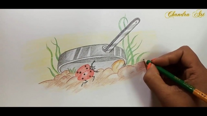 The Complete Color Pencil Art For Beginners Step by Step Color Pencil Drawing For Beginners- Learn How To Draw Ladybird With Colored  Pencils Pic