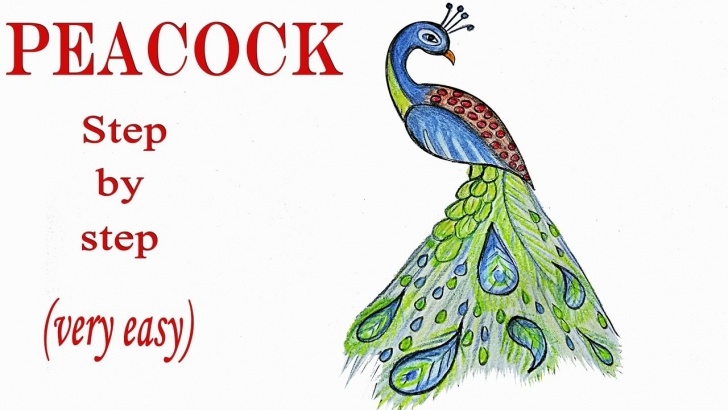 The Most Famous Peacock Pencil Drawing Step By Step Tutorials How To Draw A Peacock Step By Step (Very Easy) | Sbv-Draw Along In Pics