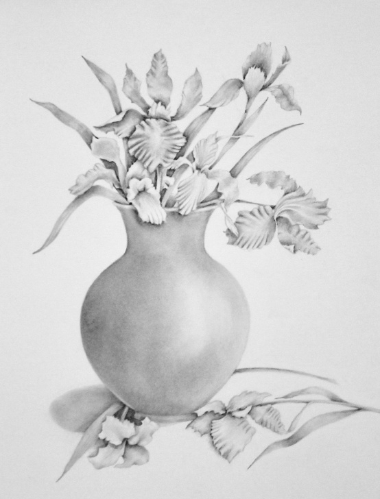 The Most Famous Pencil Shading Flower Vase Tutorials Pencil Drawing Of Irises In Vase, Flower Art, Pencil Art, $90 | Art Photos